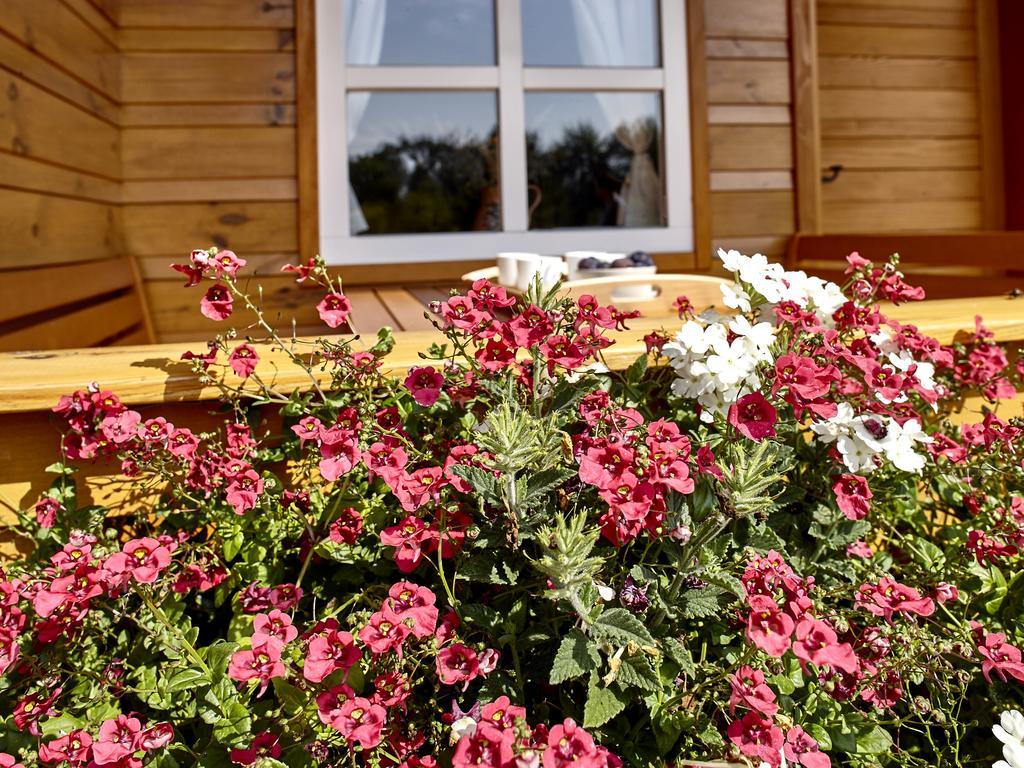 Holiday Homes Vita Natura ラコヴィツァ エクステリア 写真
